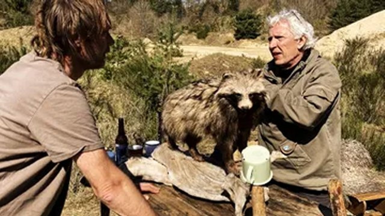 Kill & Eat - Season 14 Episode 7 : En mårhund i Sønderjylland