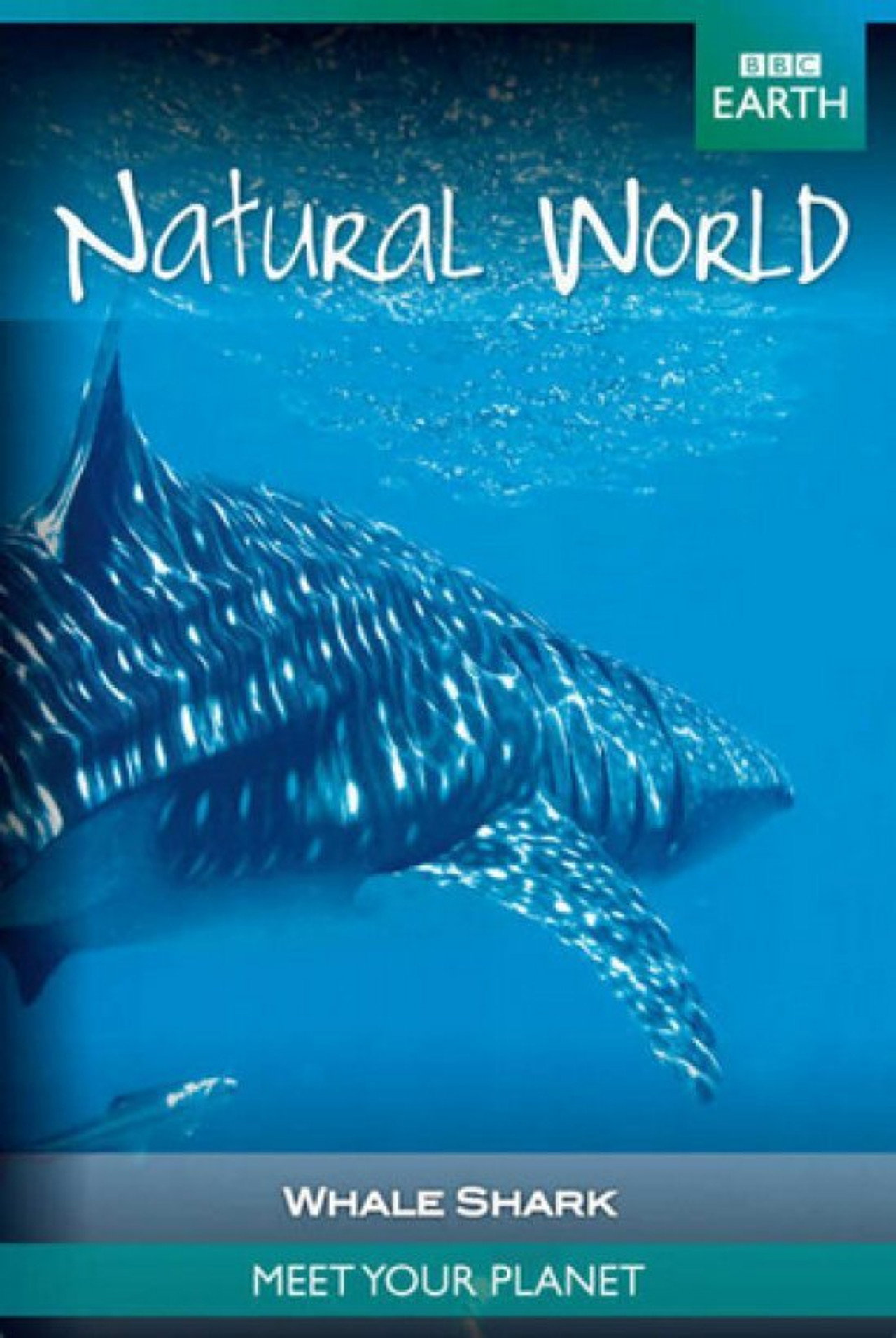 Whale Shark filmaffisch
