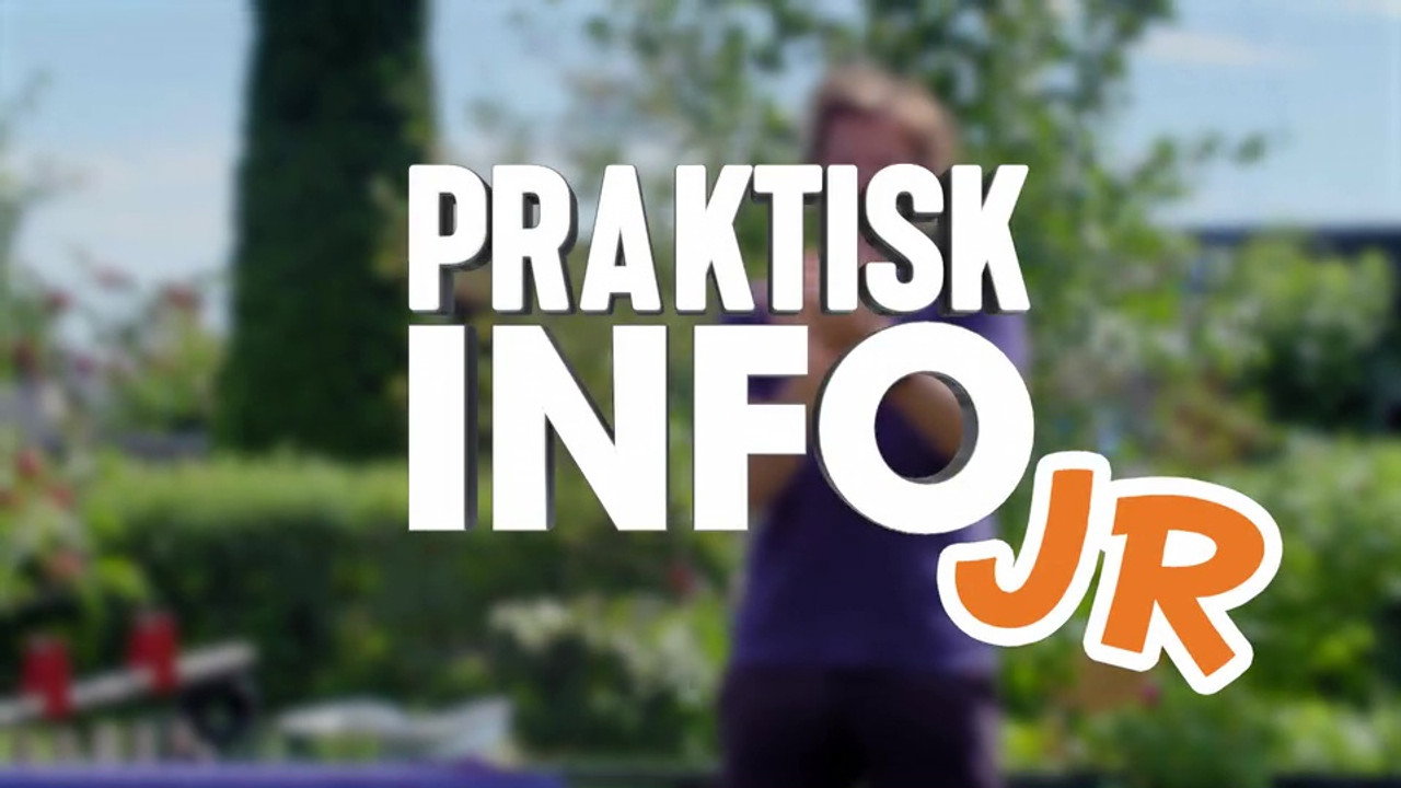 Avsnitt 2 bakgrundsbild