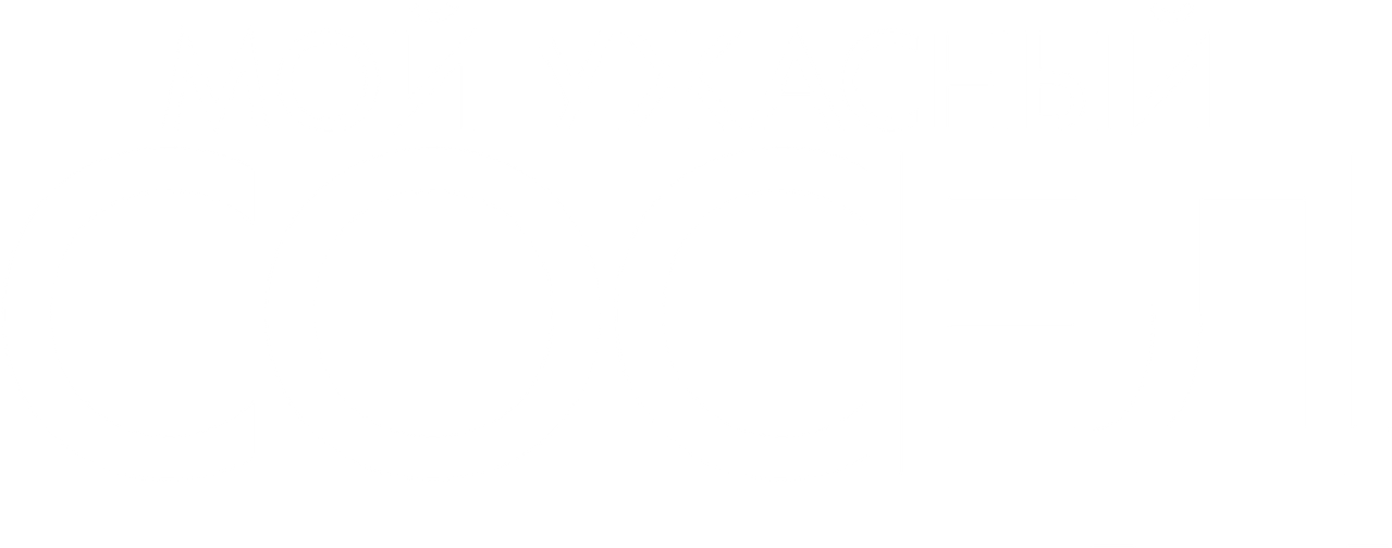 Человек по имени отто