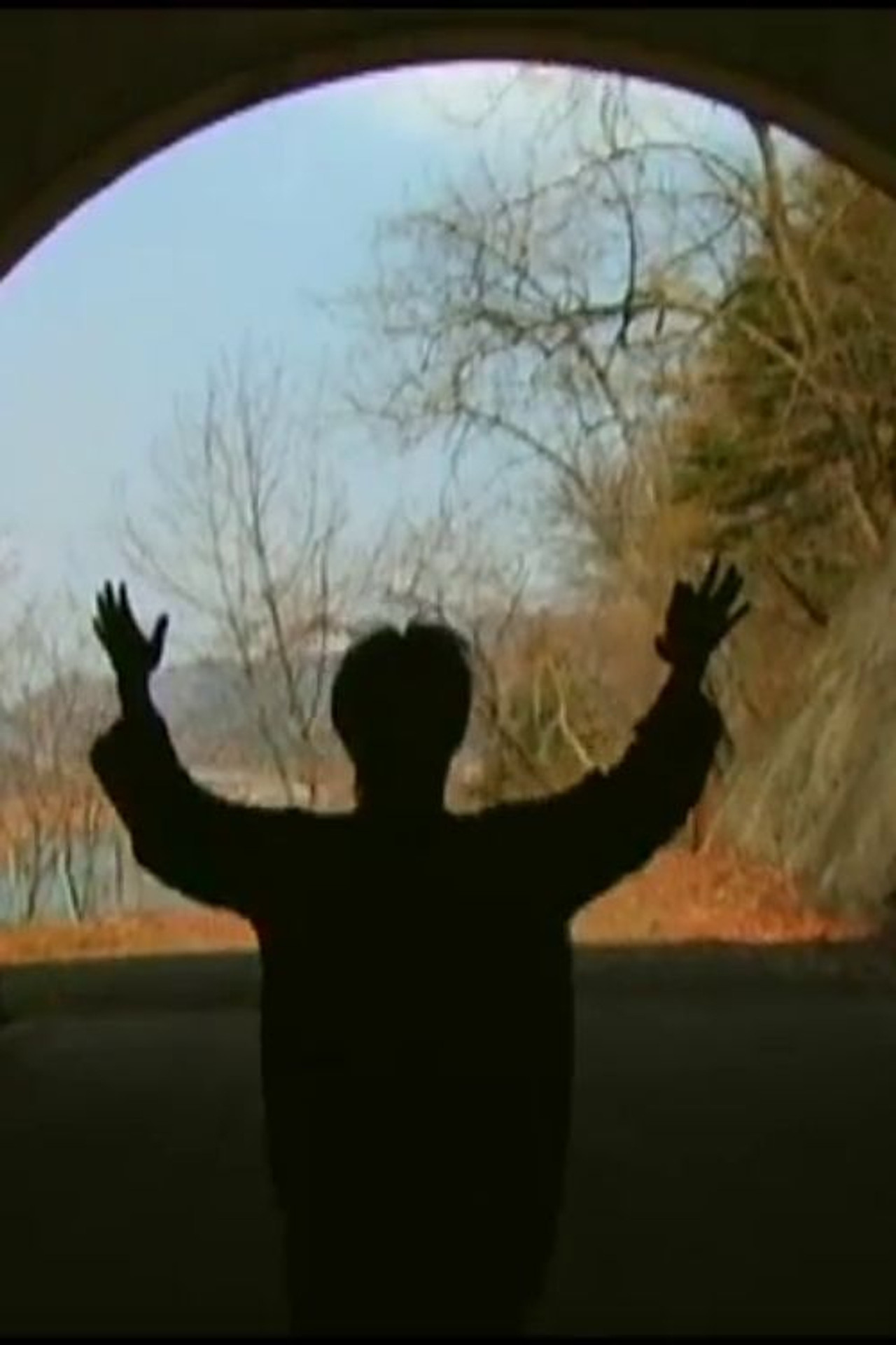 揺れている、逃げている filmaffisch