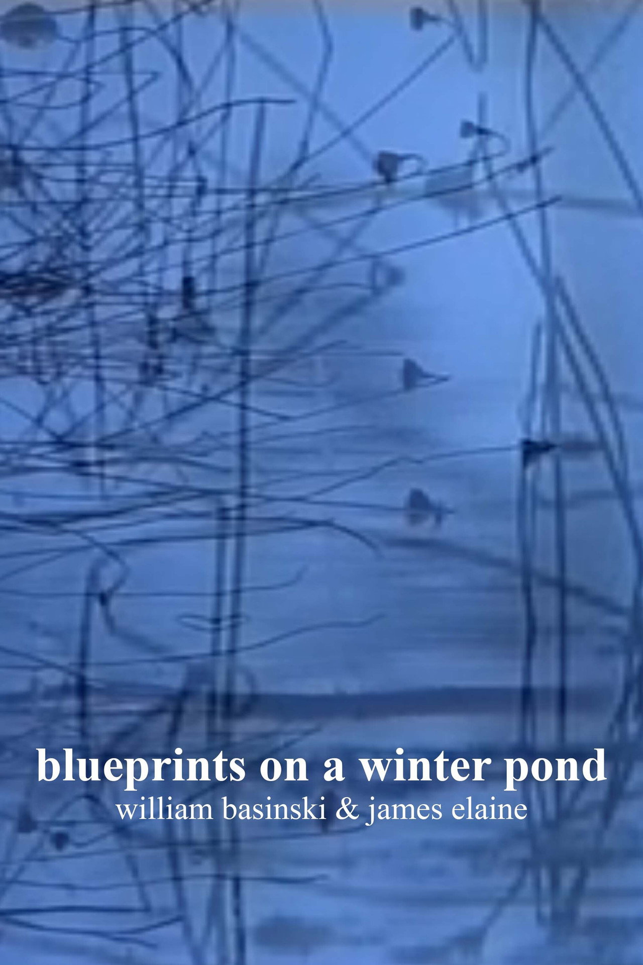 blueprints on a winter pond filmaffisch