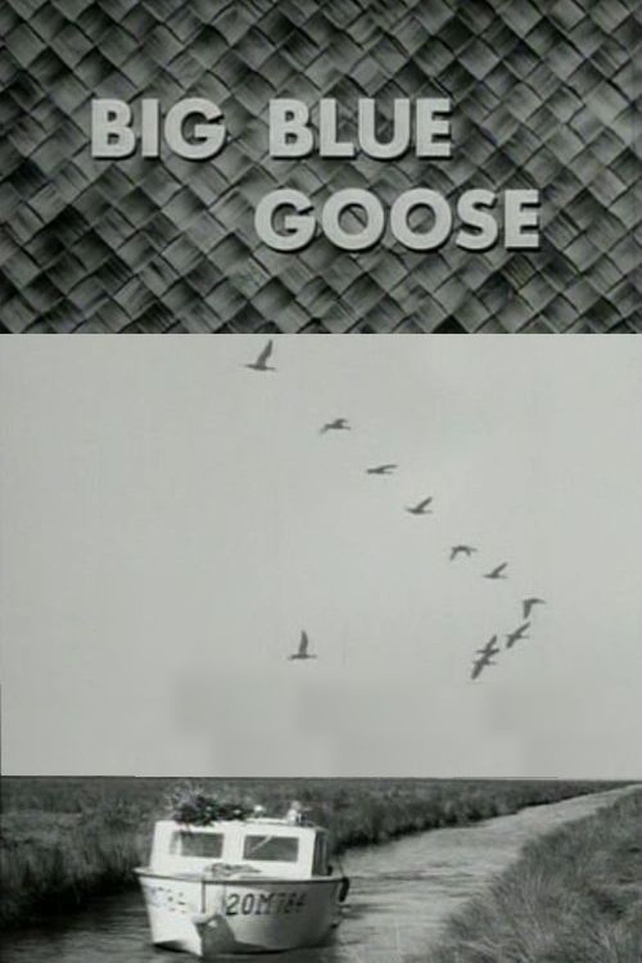 Big Blue Goose 1956