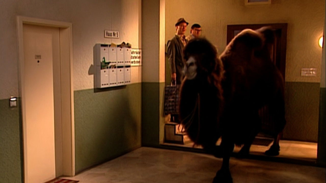 Hausmeister Krause – Ordnung muss sein — Épisode 15