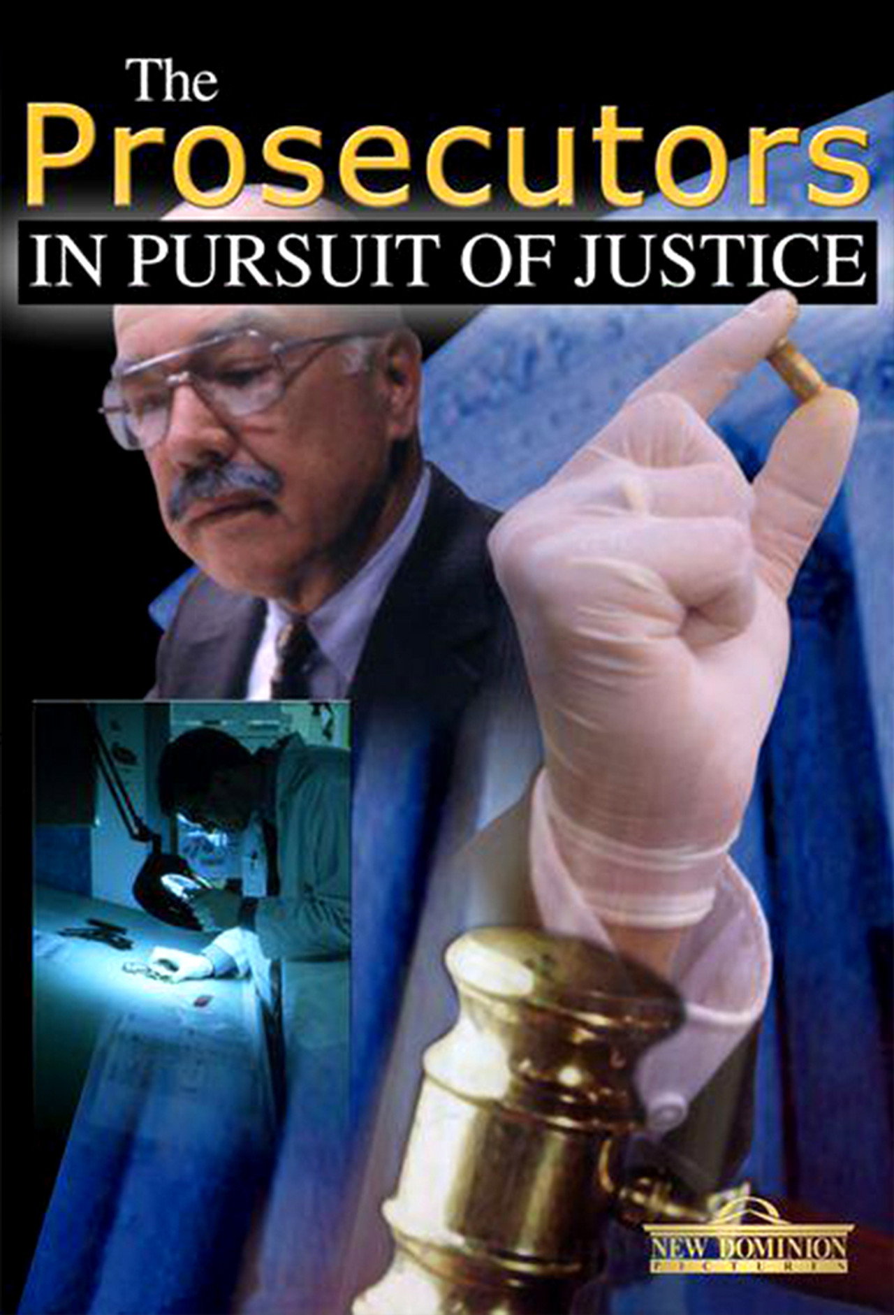 The Prosecutors: In Pursuit Of Justice affisch