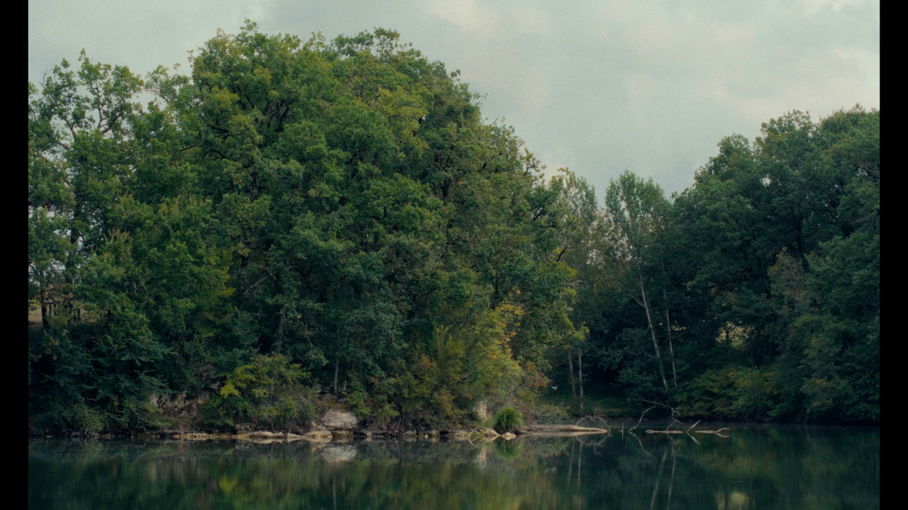 Immagine di copertina del trailer di les grillons.