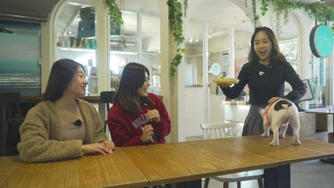 台灣萌萌的 — Épisode 2