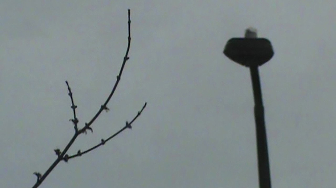rainy streets still 6