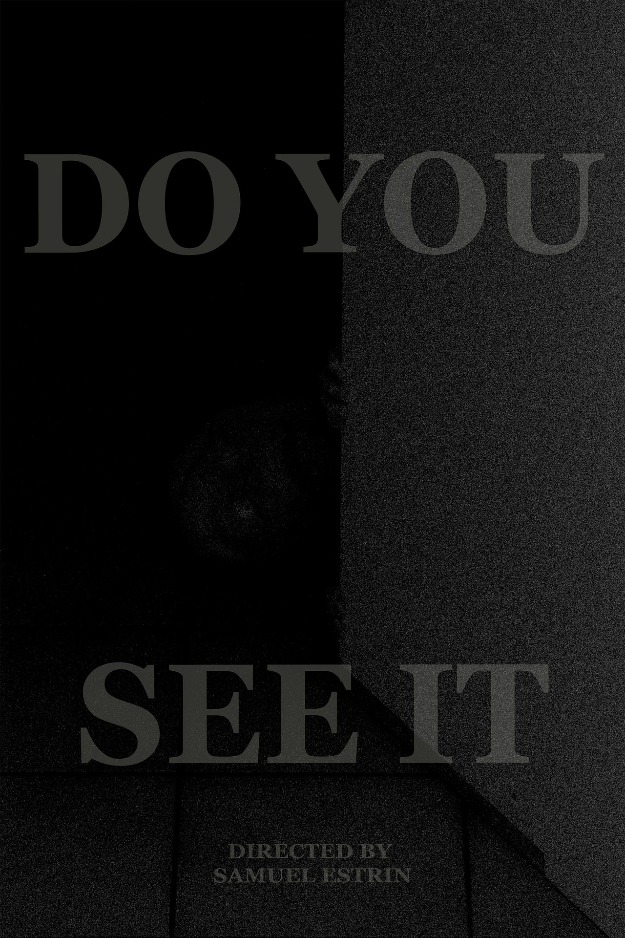 DO YOU SEE IT
