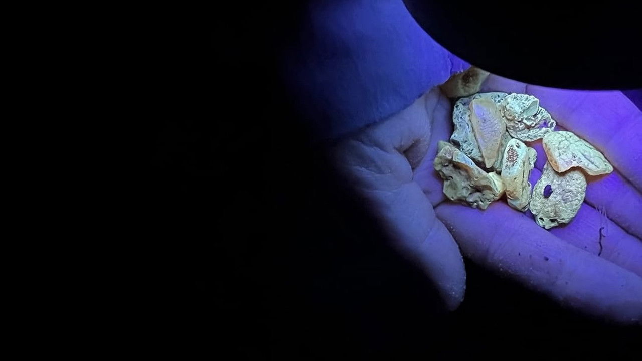 The Hunt For Baltic Gold