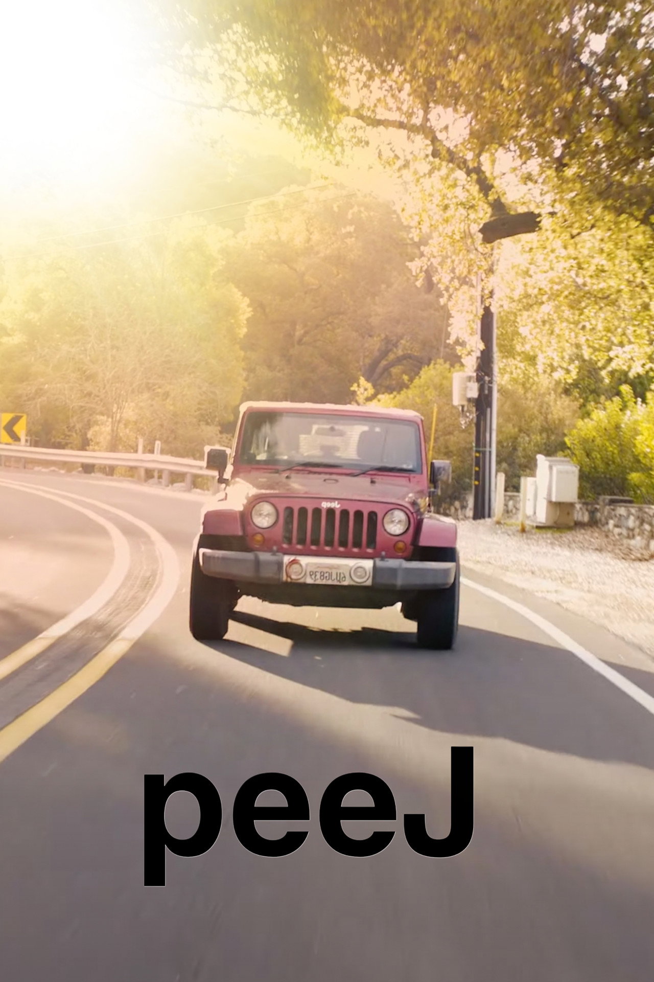 peeJ filmaffisch