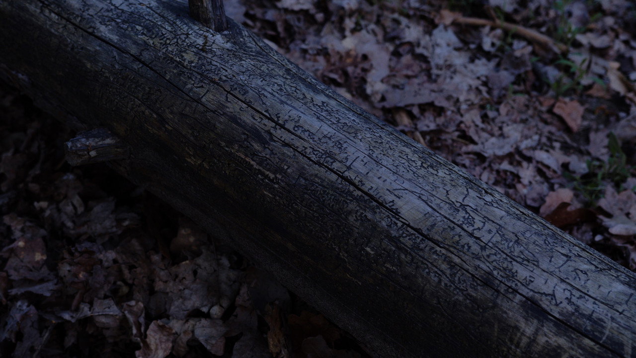 Ϛϗ҂҉ϪҖ still 3
