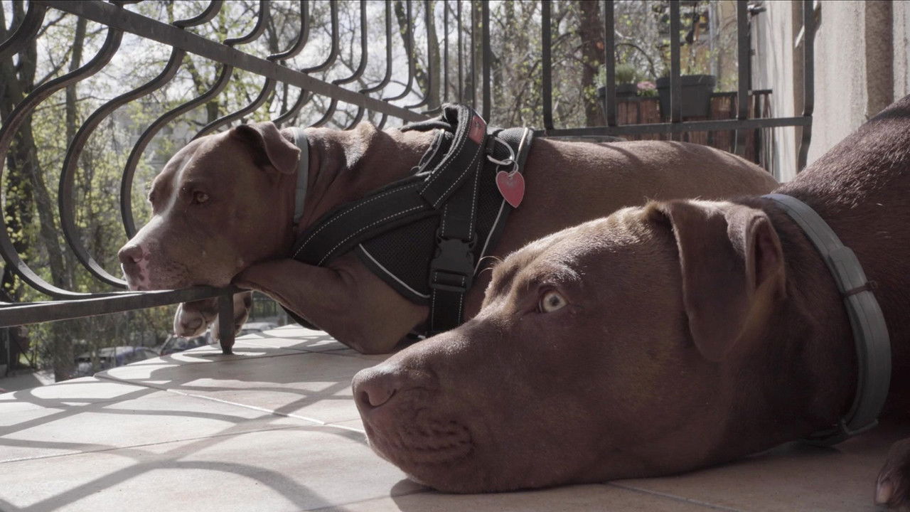 W domu (Polska) — Épisode 7