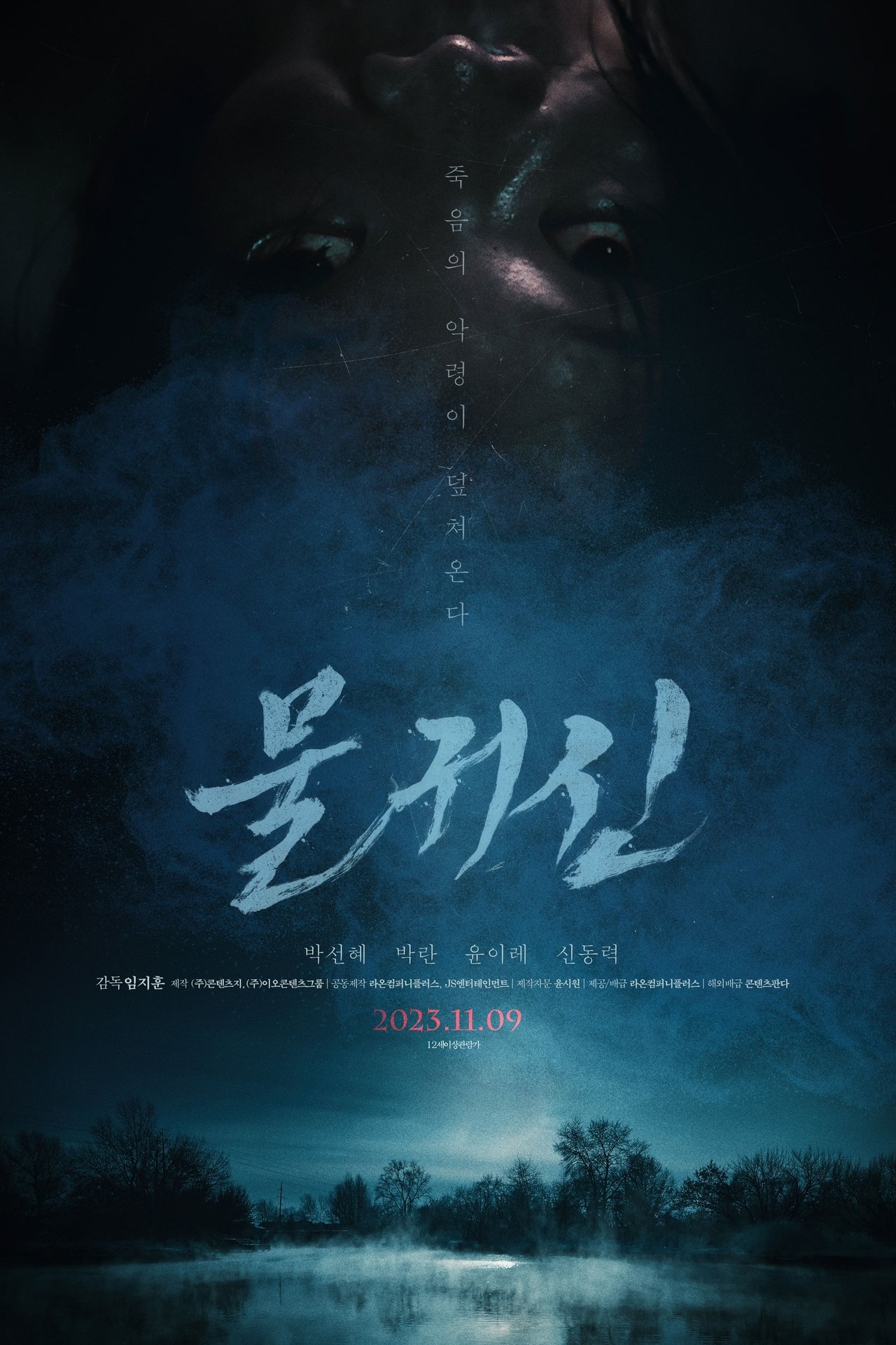Bottom of the Water poster