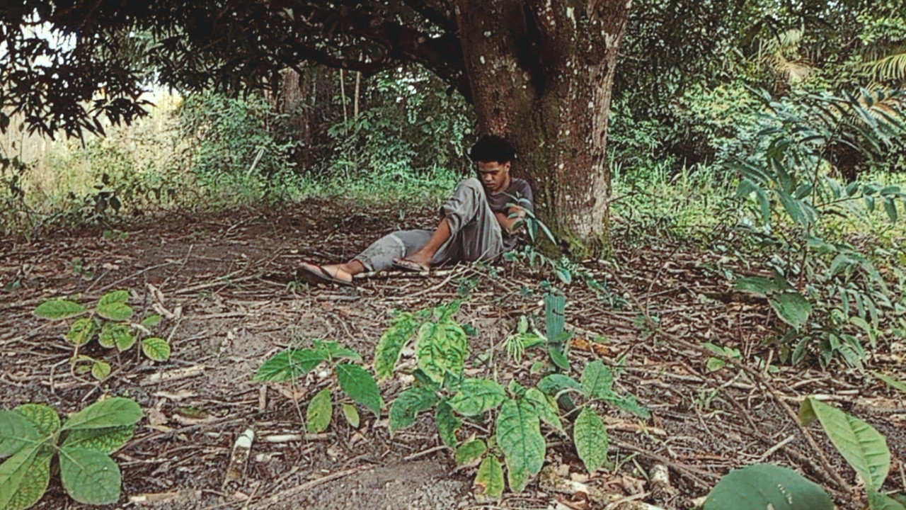 scenes 3