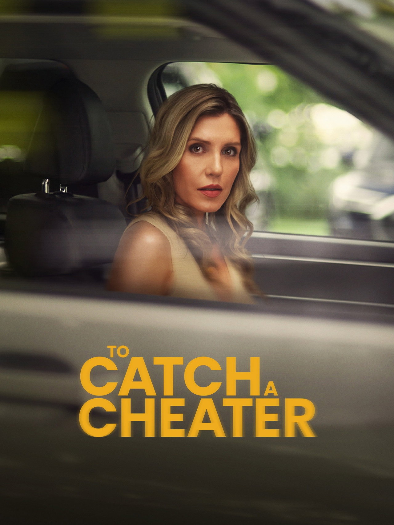 To Catch a Cheater