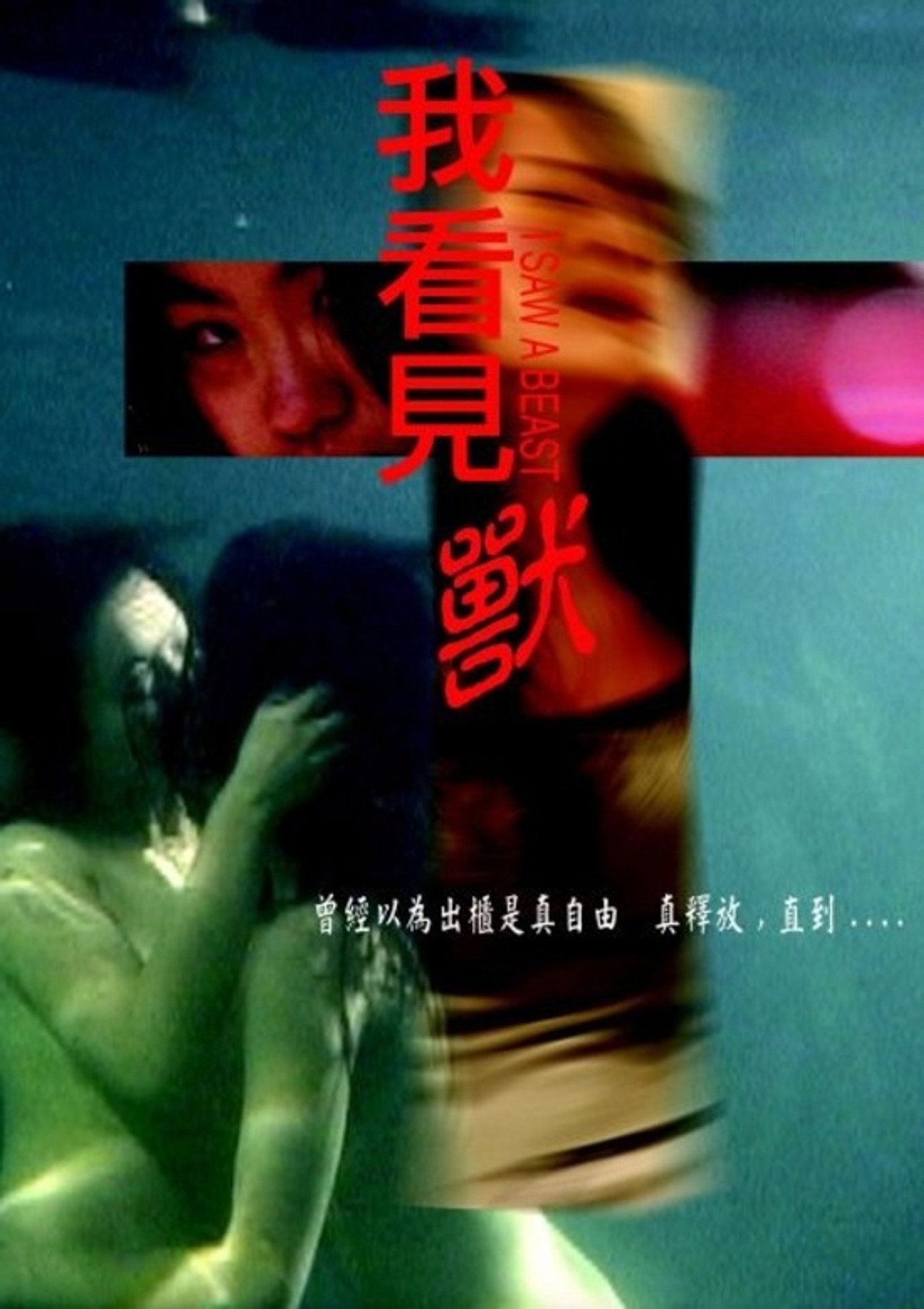 我看見獸 filmaffisch