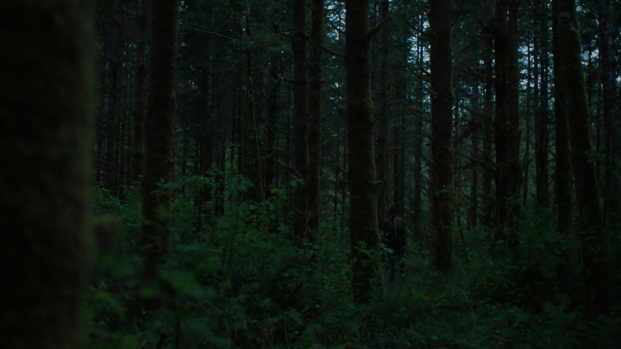 scenes 12