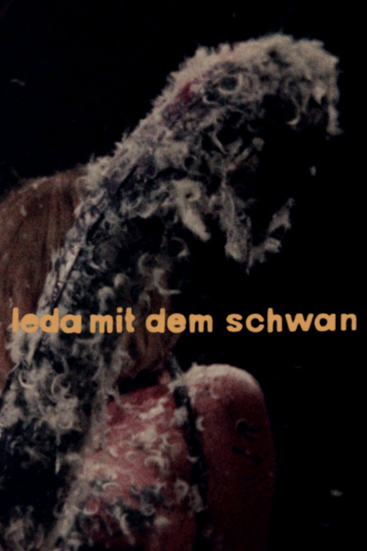 7/64: Leda mit dem Schwan filmaffisch