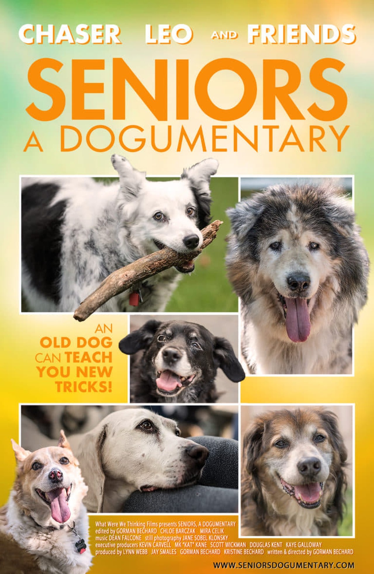 مشاهدة فيلم Seniors: A Dogumentary مترجم بدون اعلانات - بوستر
