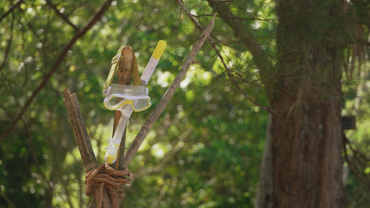 Robinson - Season 26 Episode 11 : Episode 11