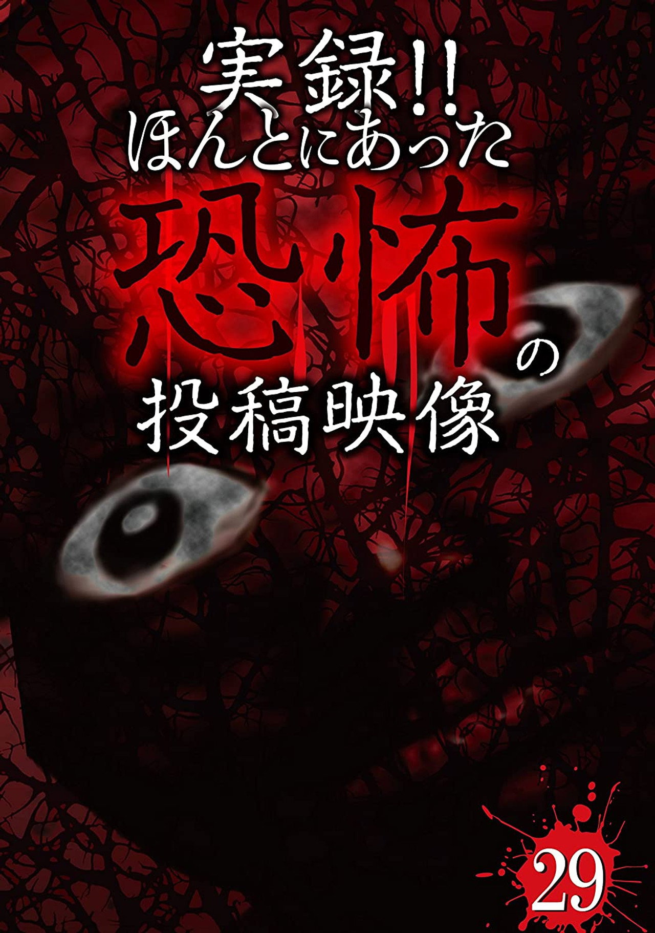 Actual Record! Real Horror Posted Video 29 poster