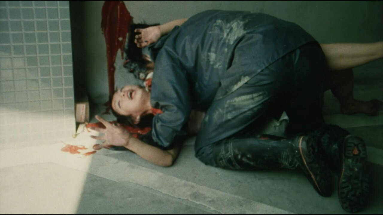Dog still 3