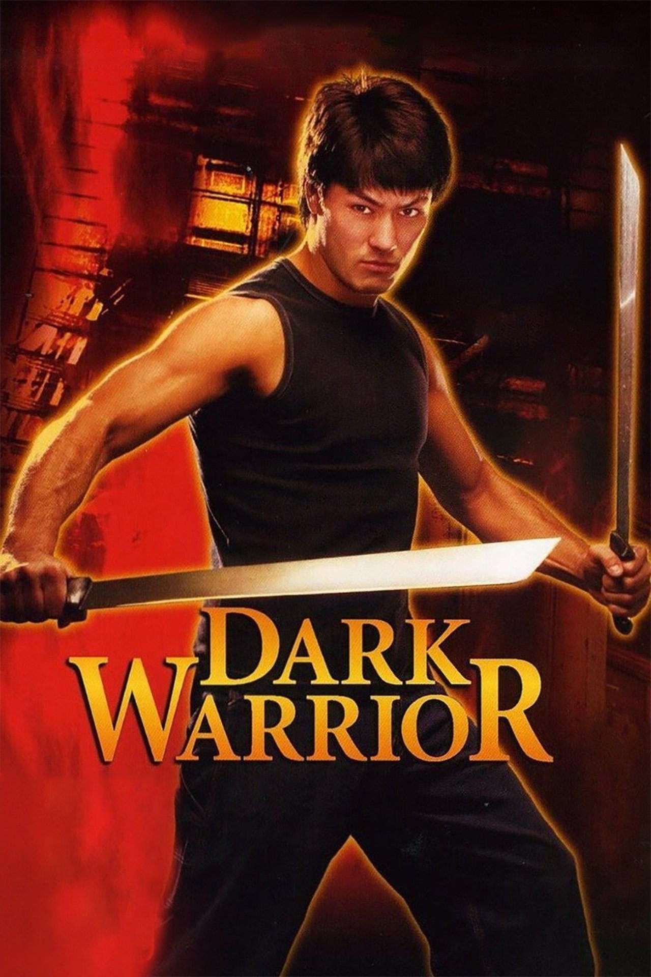 Dark Warrior La Colère Du Dragon poster