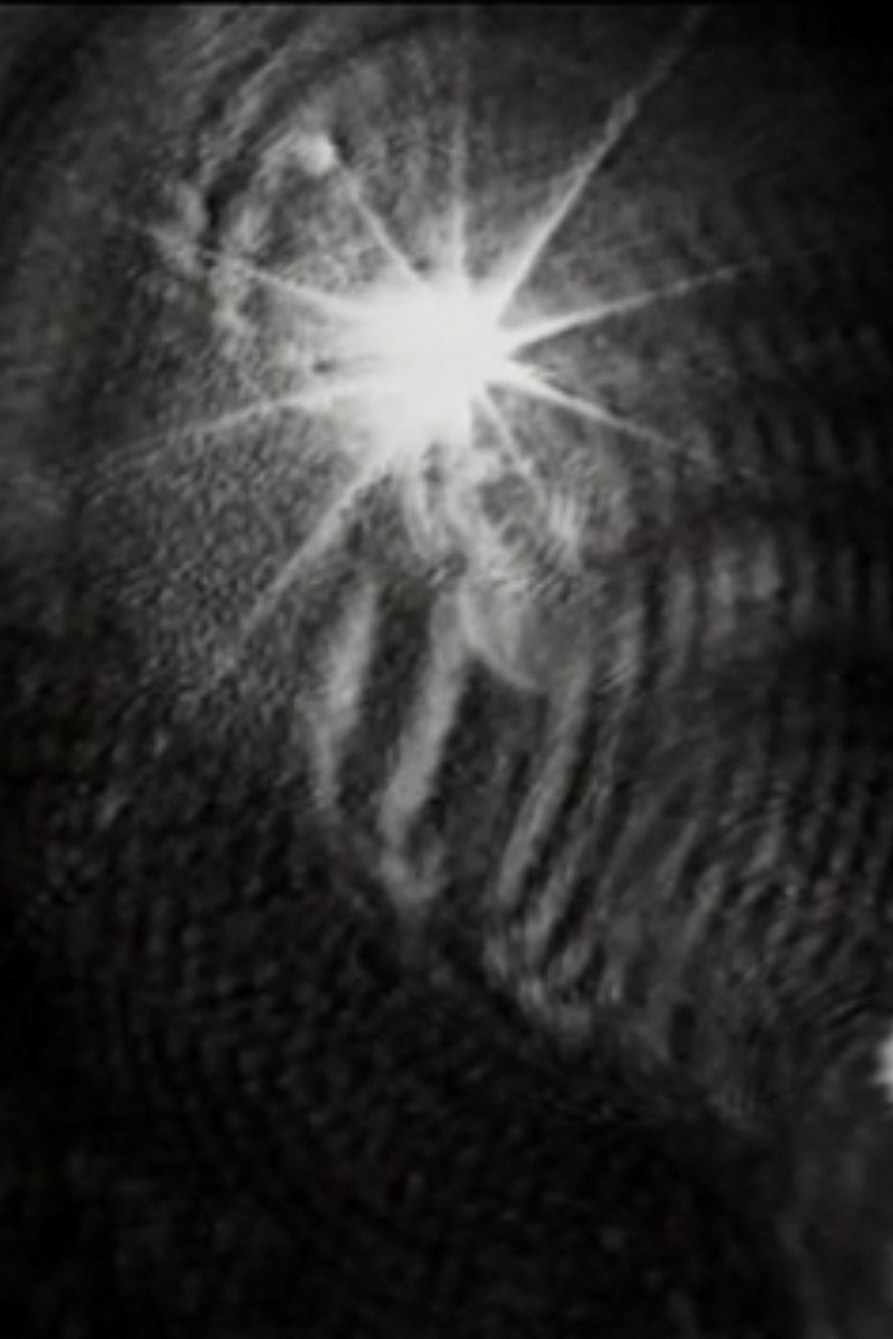 Bird's Eye filmaffisch