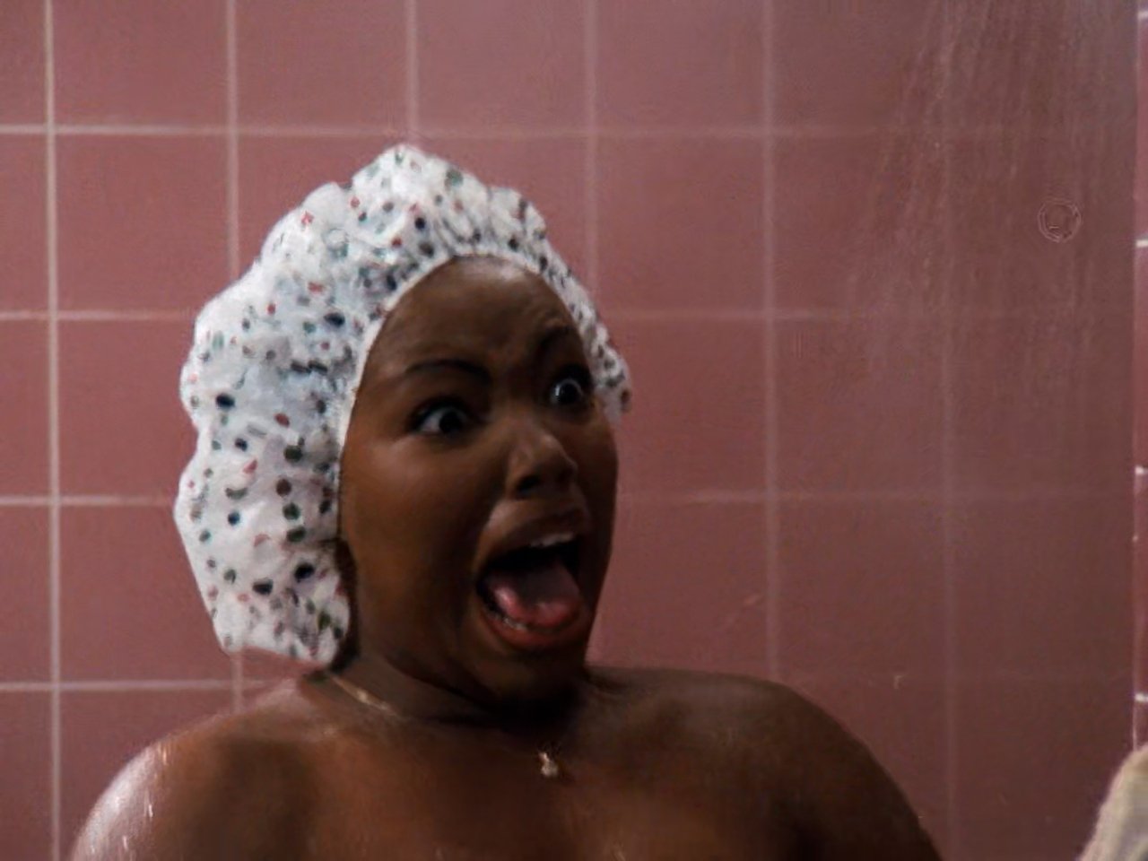 Family Matters - Season 7 Episode 2 : The Naked and the Nerdy