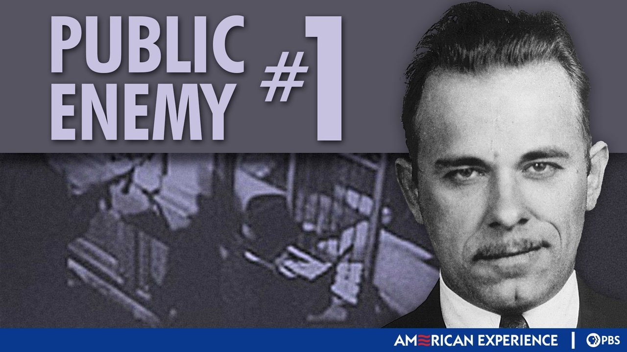 American Experience - Season 14 Episode 10 : Public Enemy #1