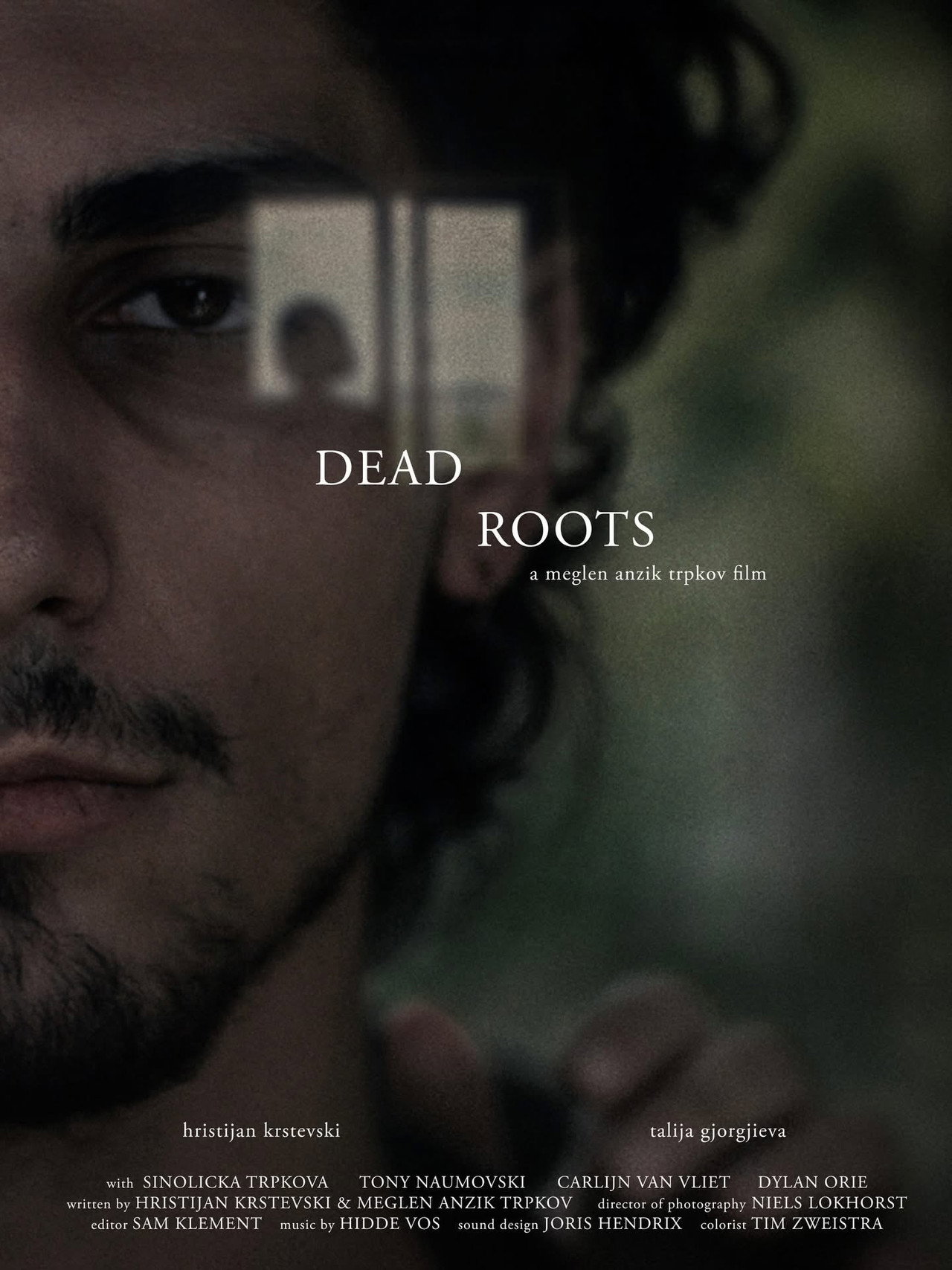 Dead Roots Backdrop