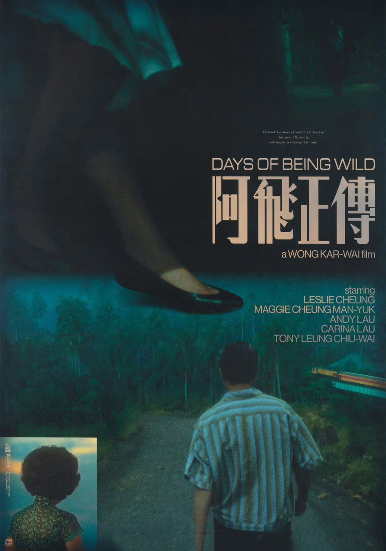 Days of Being Wild filmaffisch