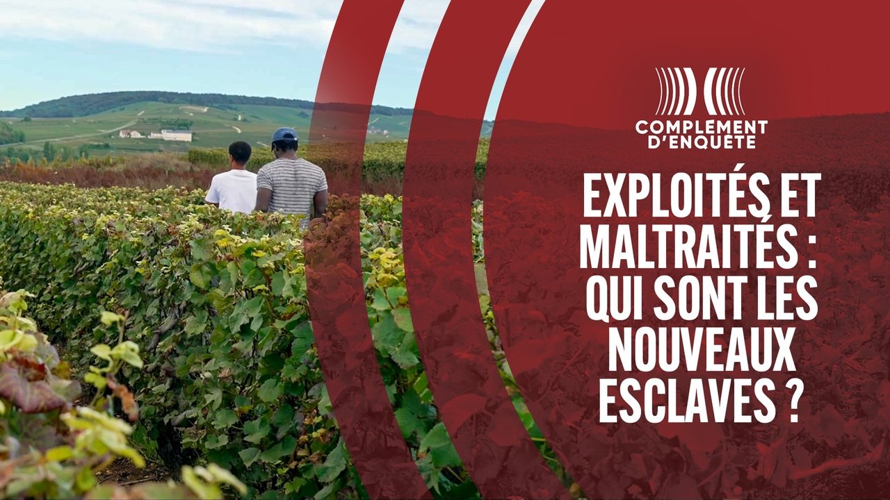 Complément d'enquête - Season 24 Episode 3 : Episode 3