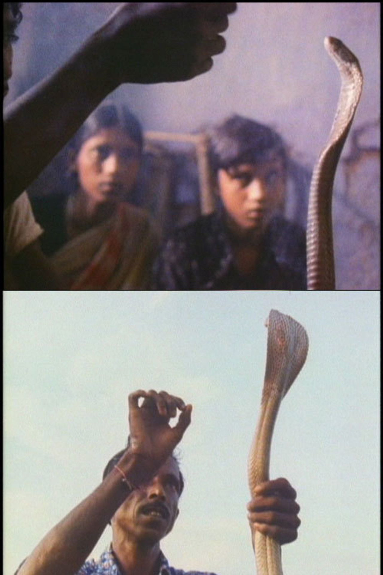 Serpent Mother Backdrop