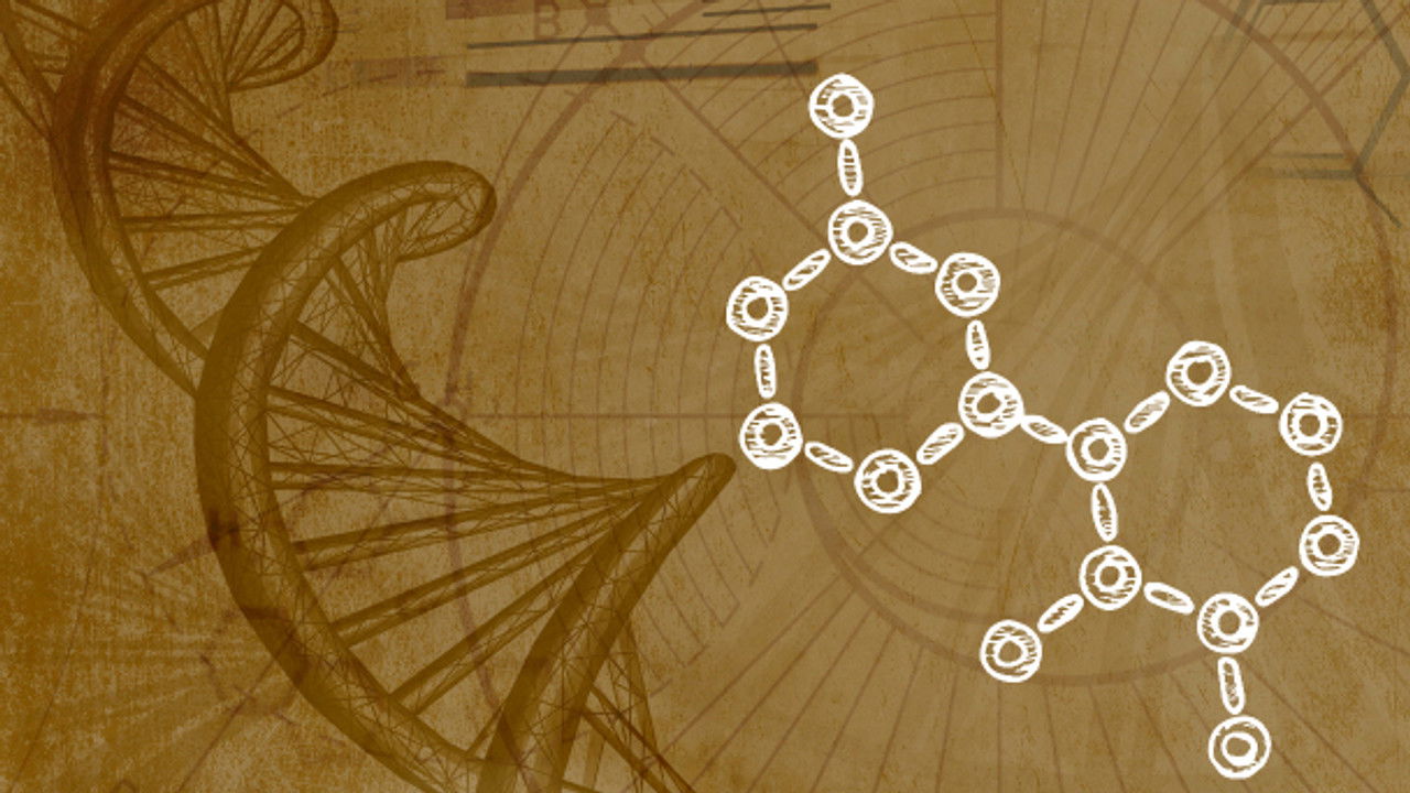 Inner Evolution — Épisode 6