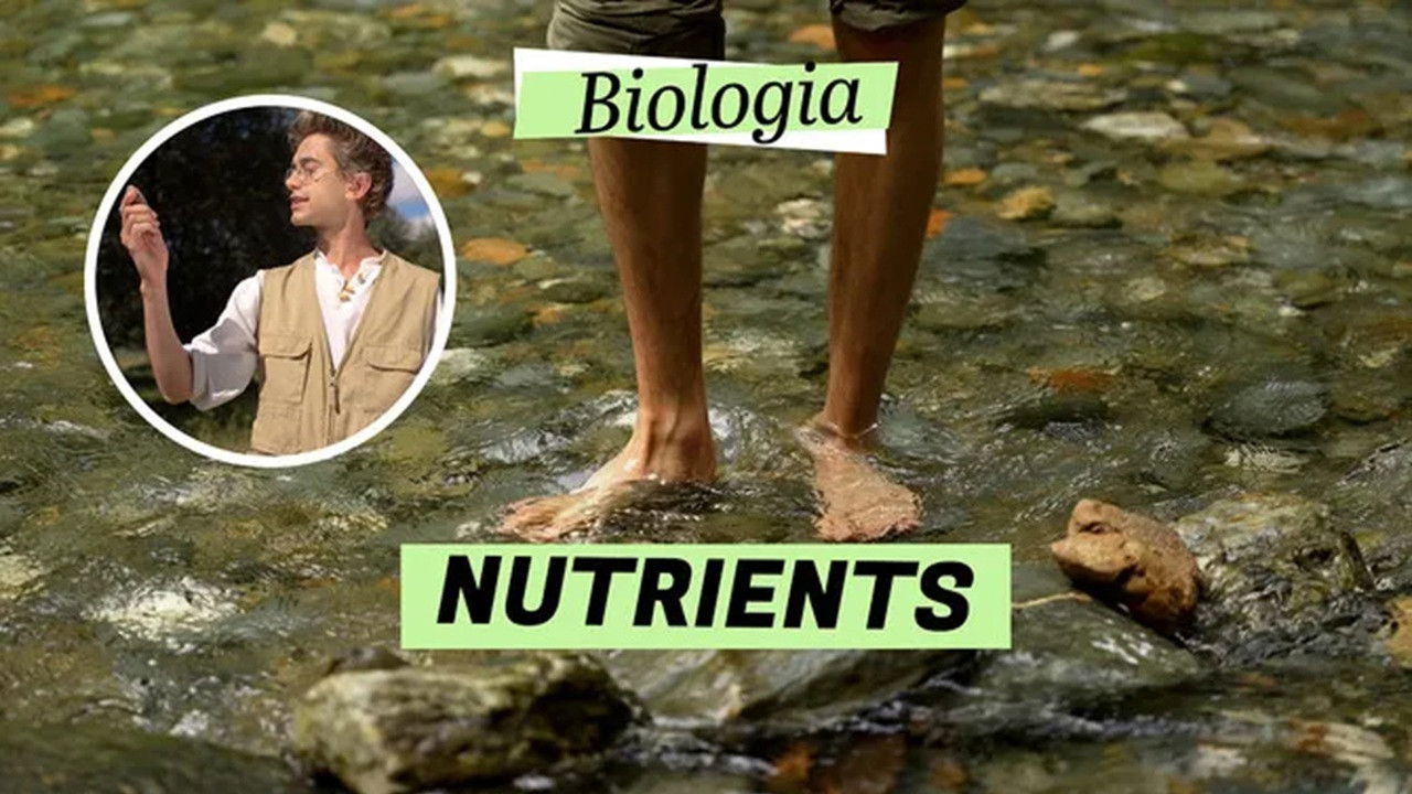 Biologia — Épisode 4