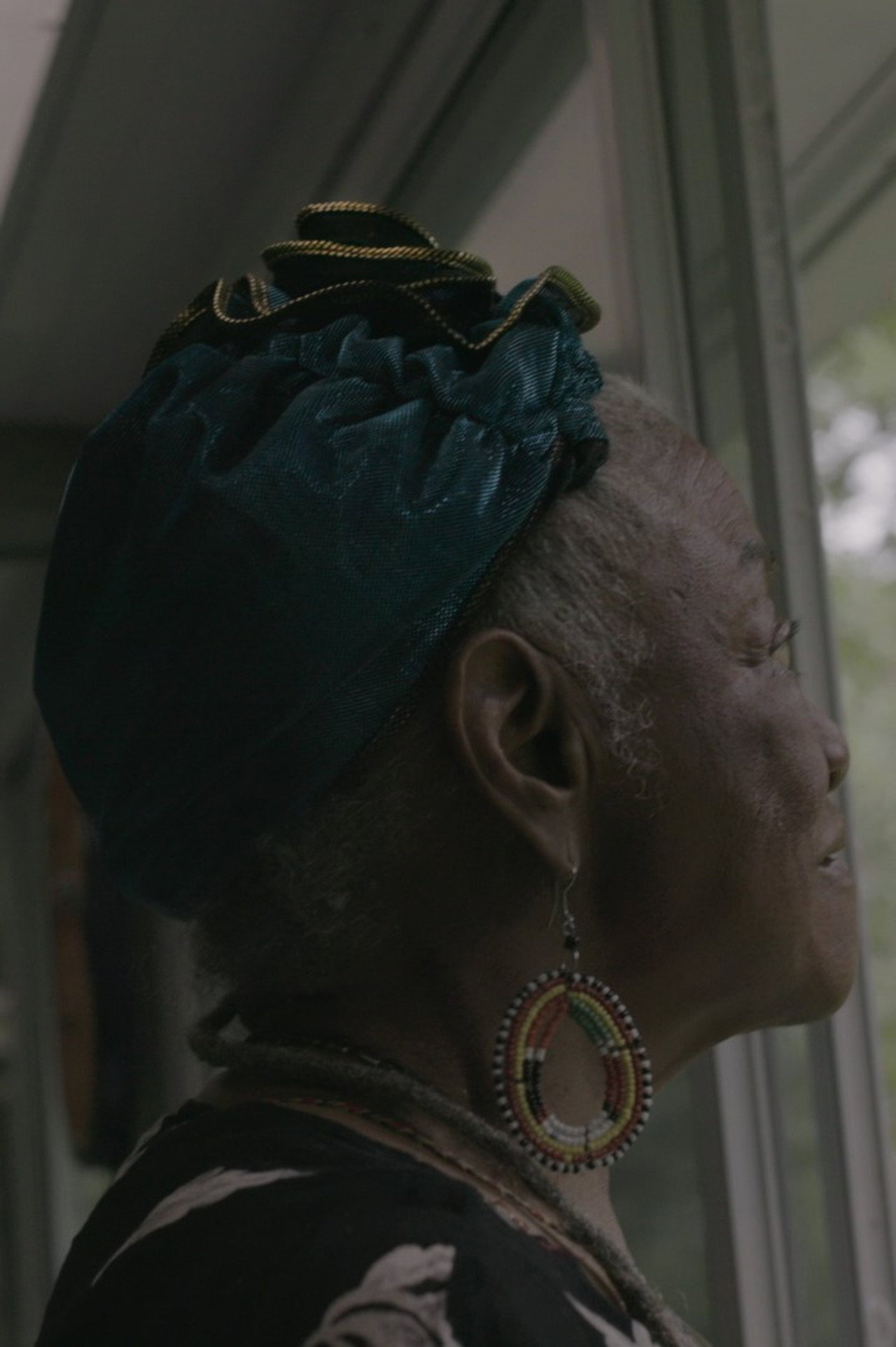The Ancestors Came filmaffisch