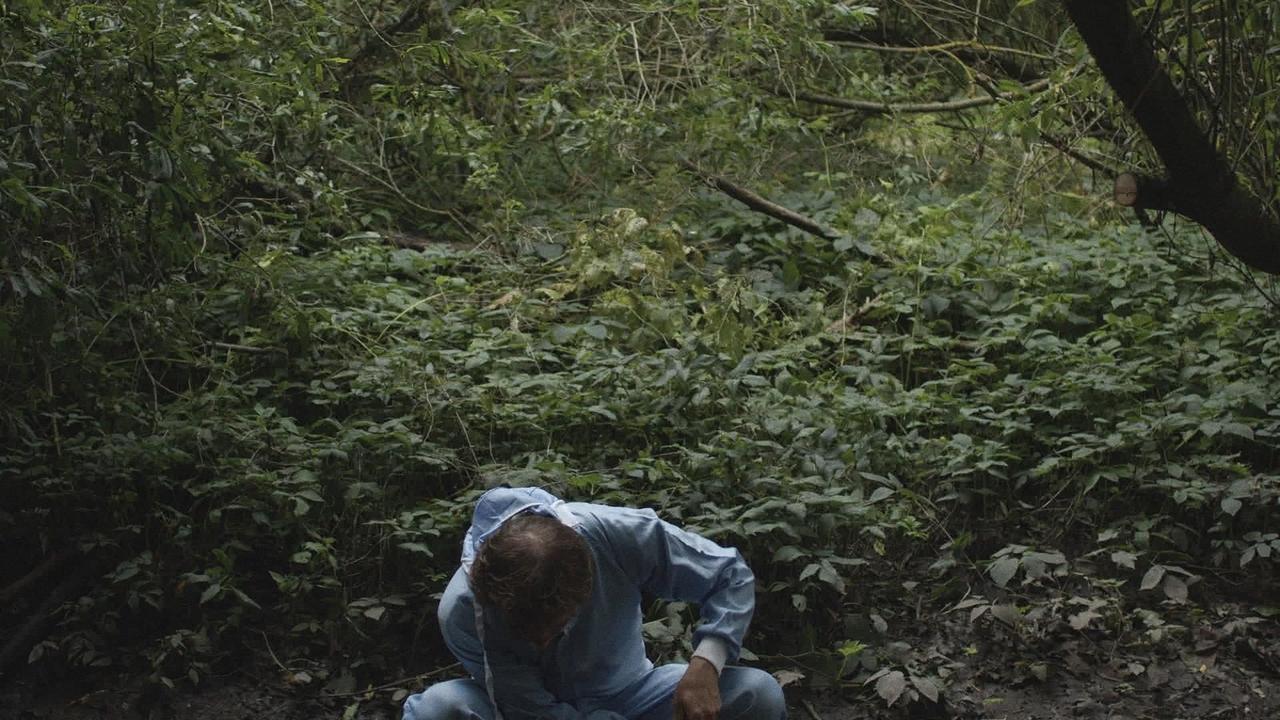 The Garden Caretaker Movie Backdrop