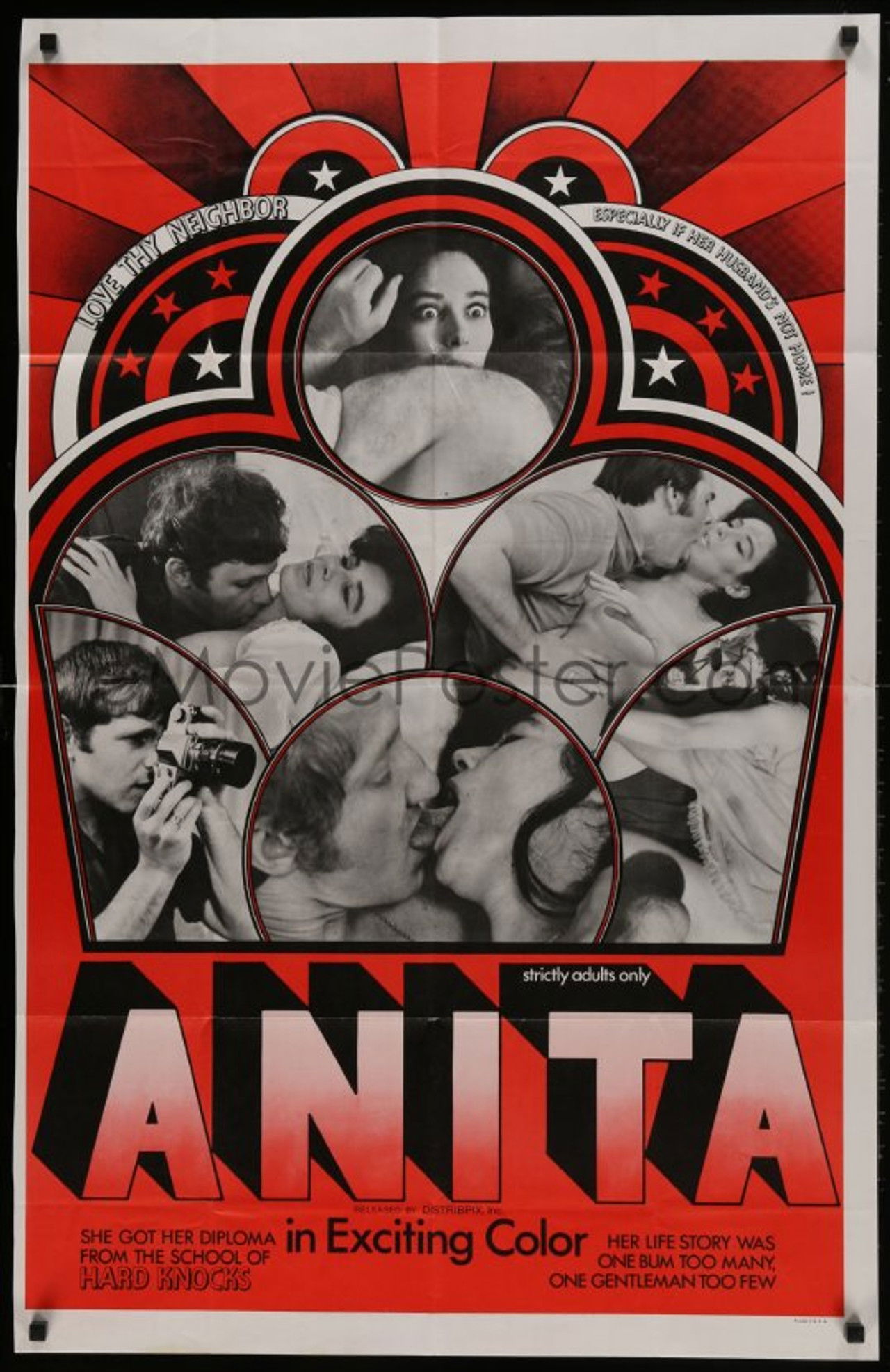 Anita Backdrop