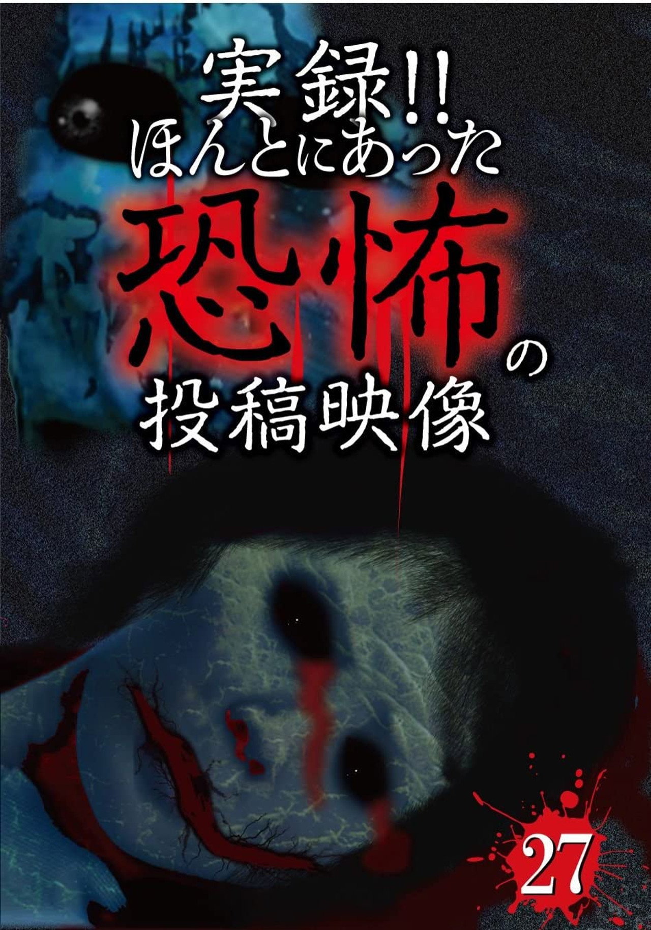 Actual Record! Real Horror Posted Video 27 poster