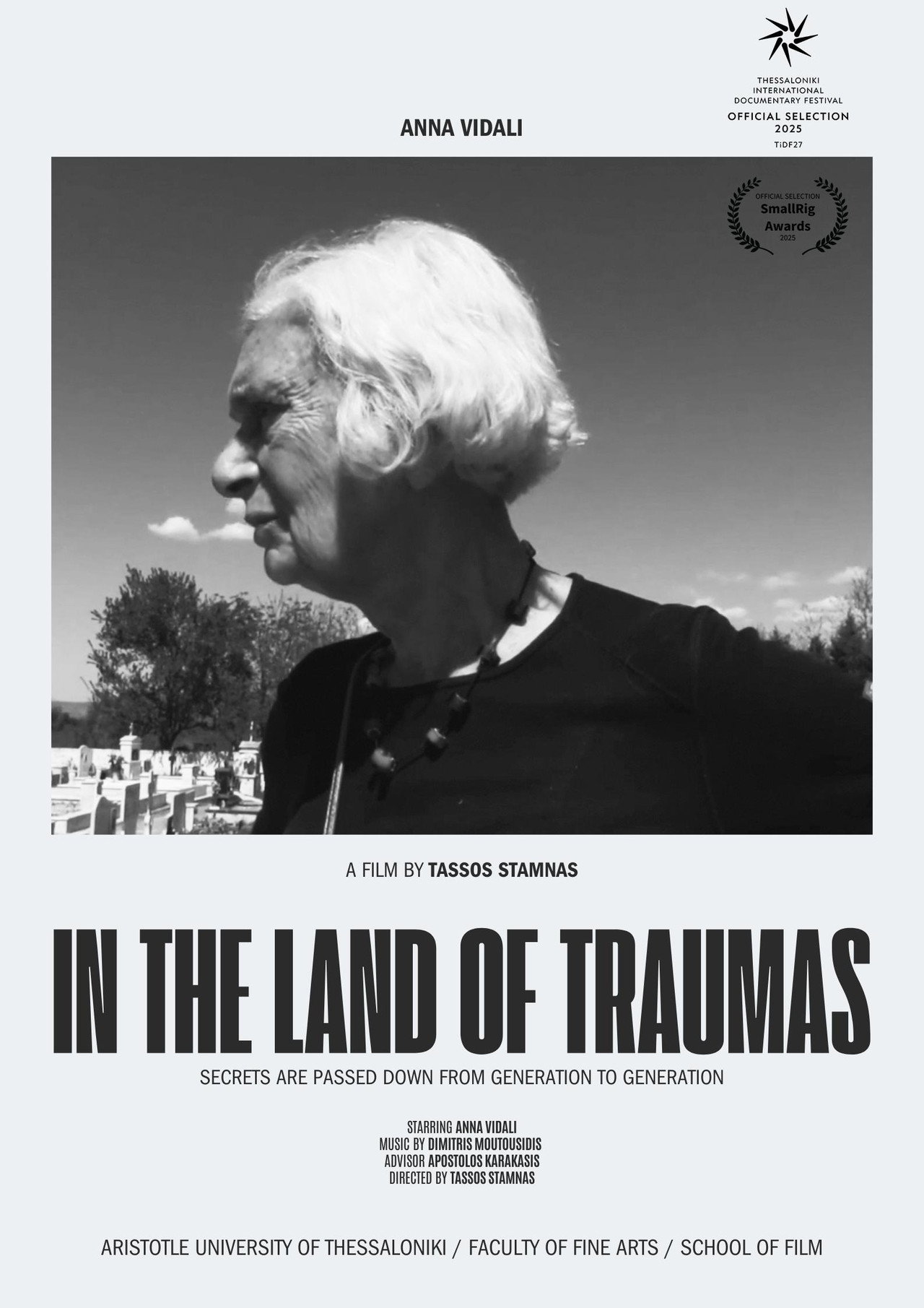 Στη χώρα των τραυμάτων filmaffisch