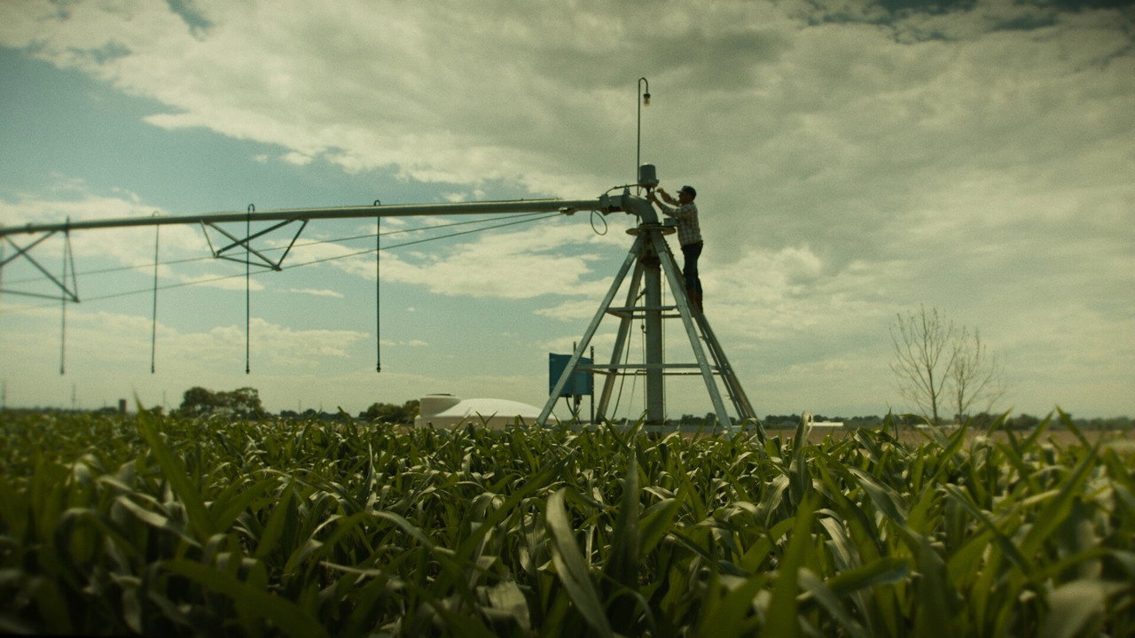 'Til Harvest Comes still 3