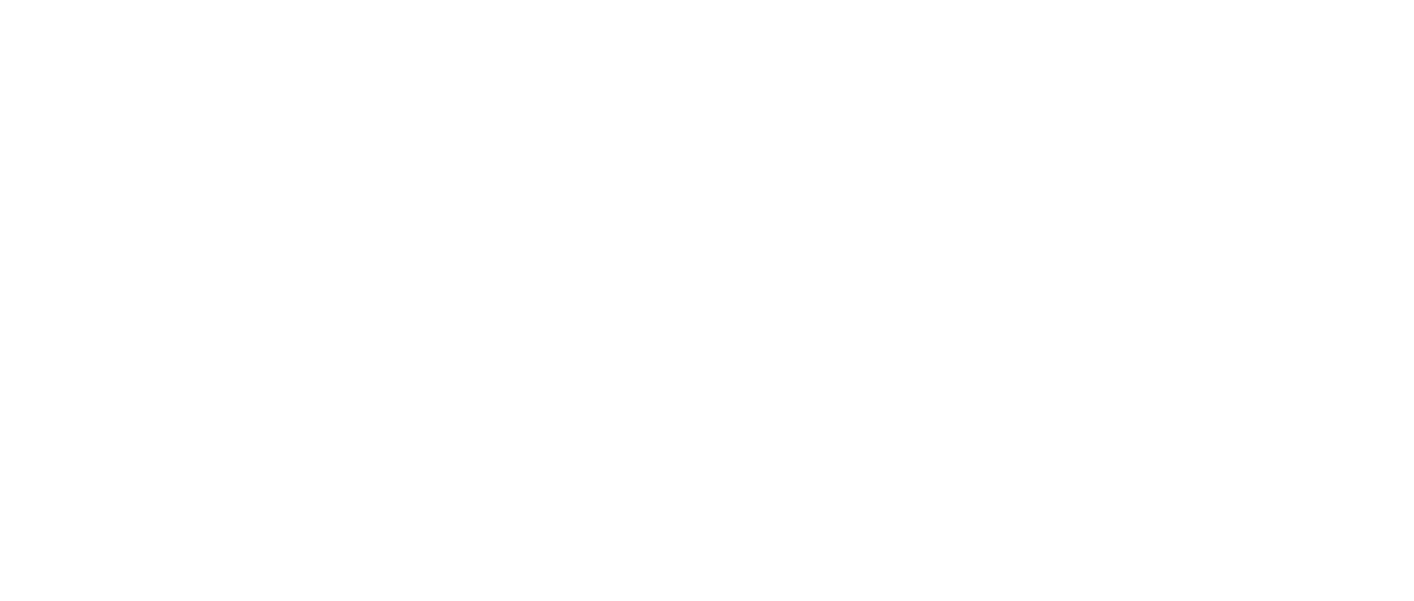 Мина