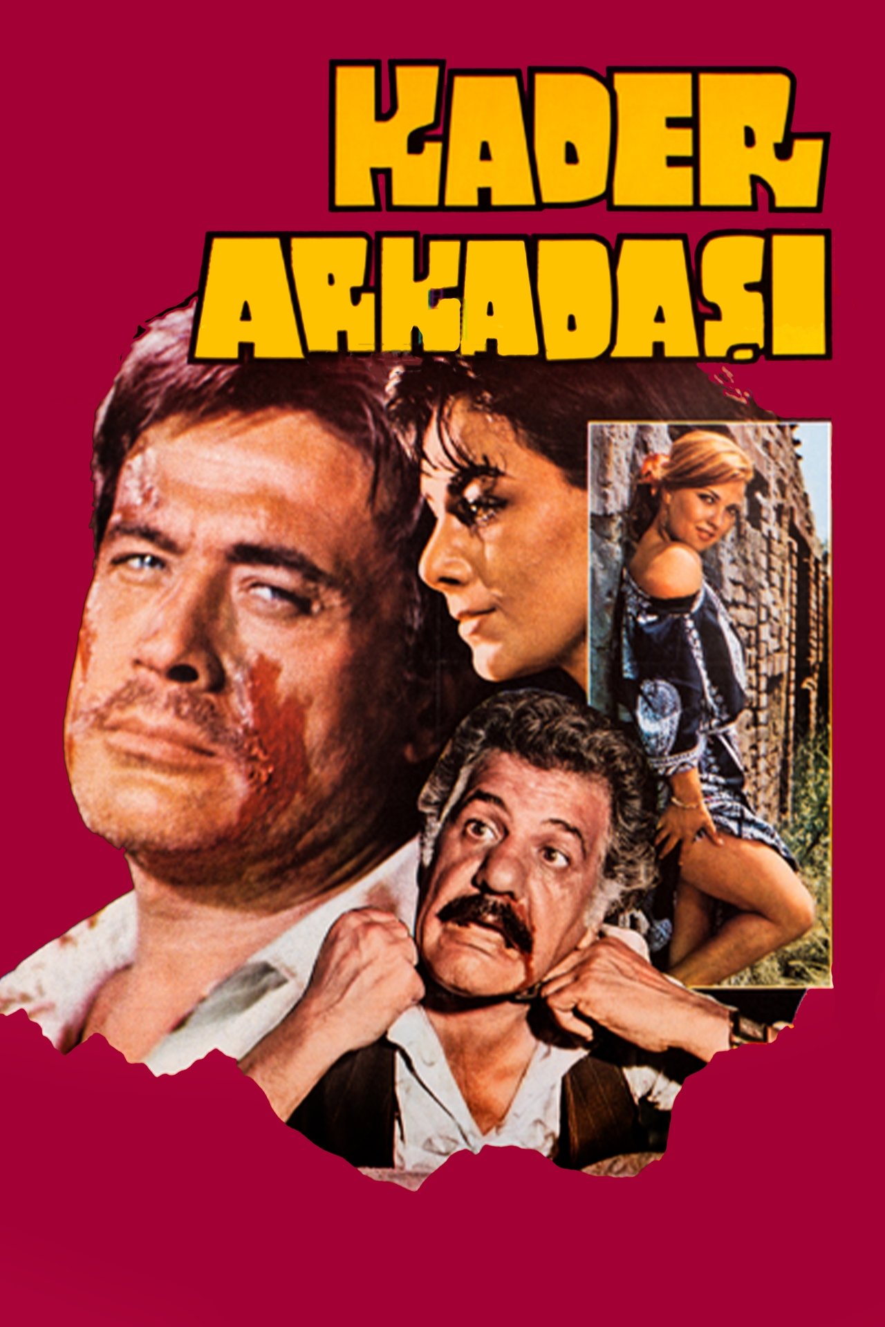 Kader Arkadaşı Kader Arkadaşı