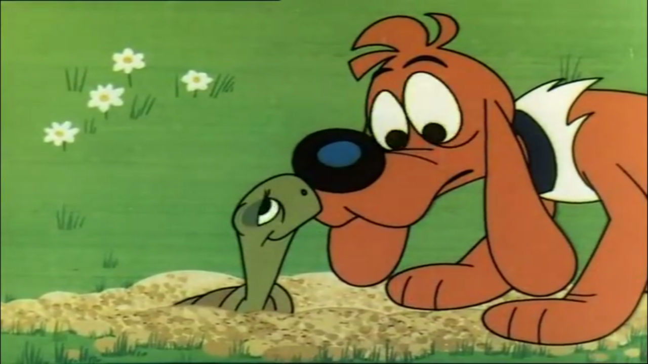 Boule et Bill — Caroline la tortue