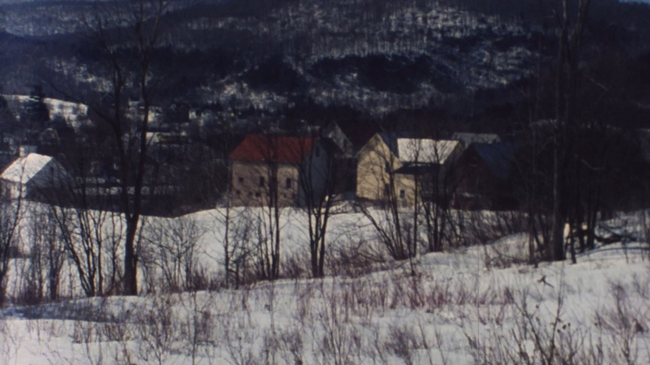 The Animal still 5