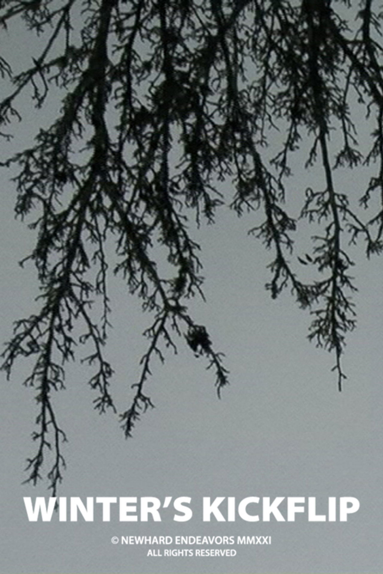 Winter's Kickflip Backdrop