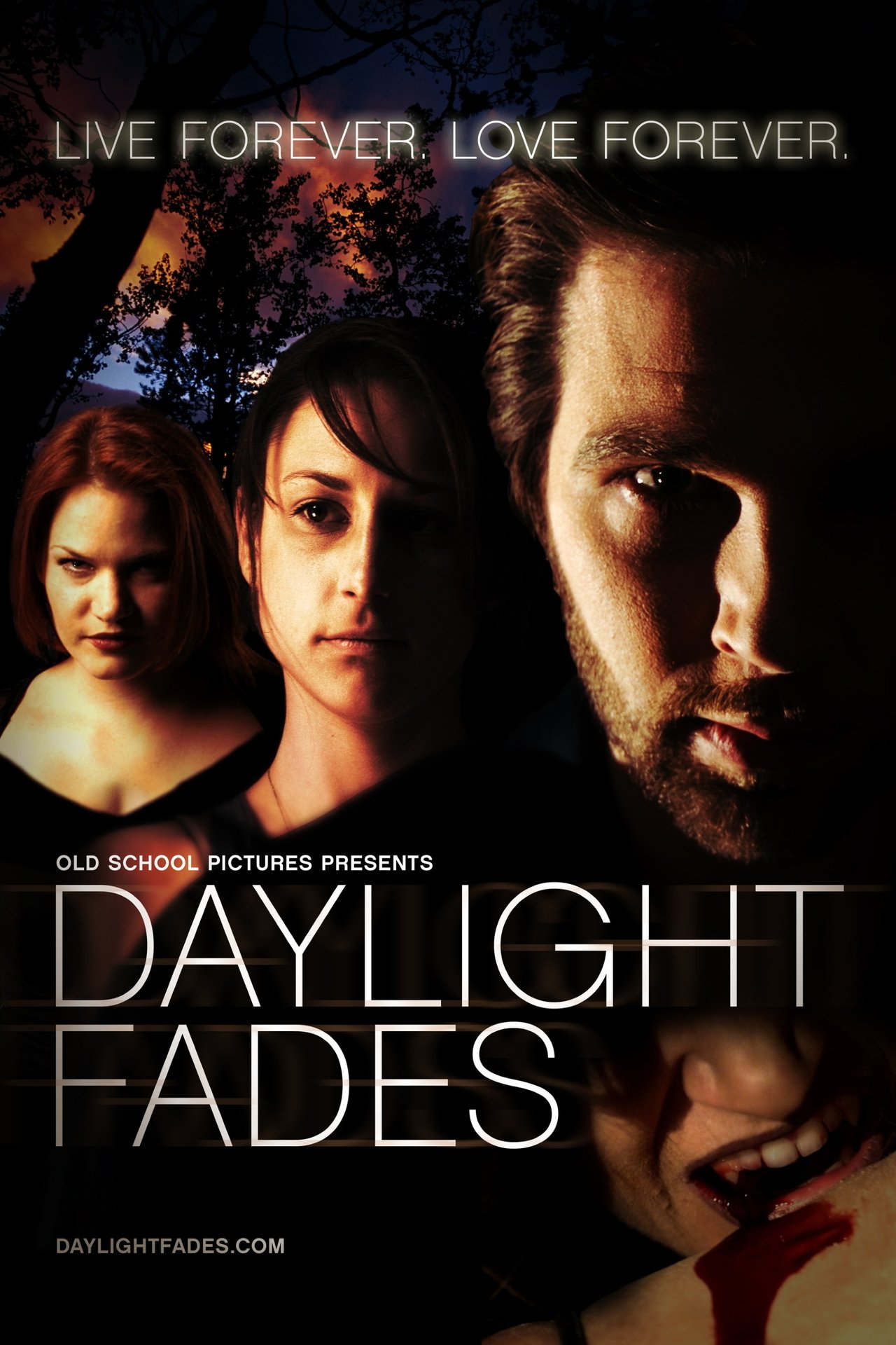 Daylight Saga poster