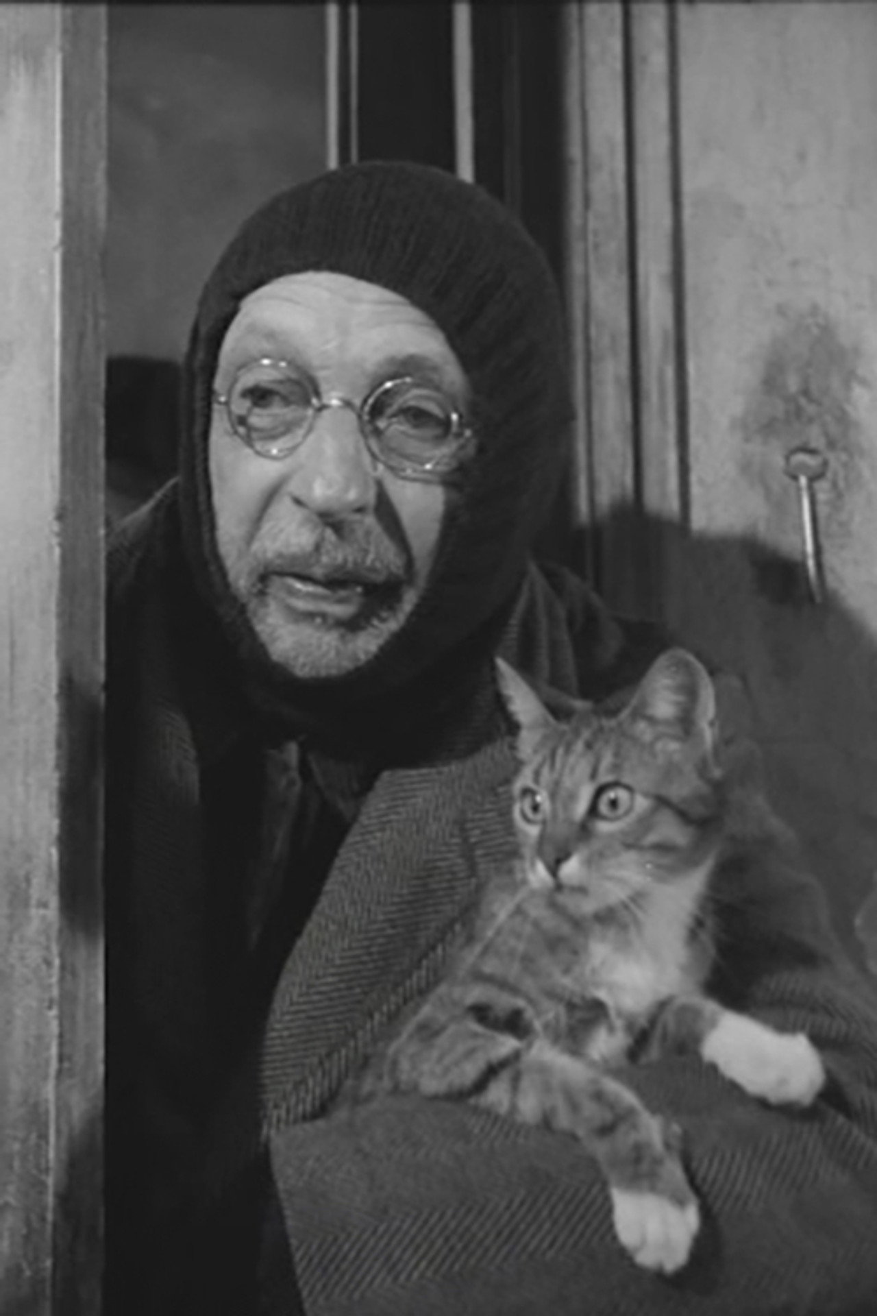 L'Homme au chats Backdrop